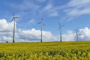 Champ d'éoliennes