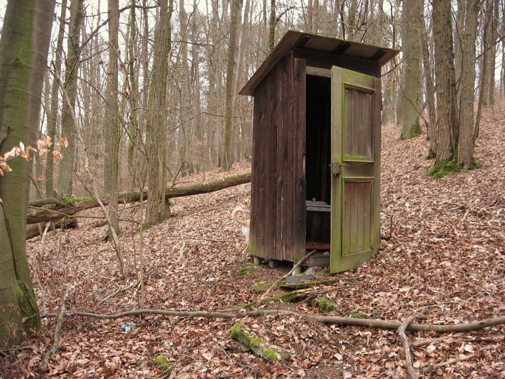 Toilettes wc
