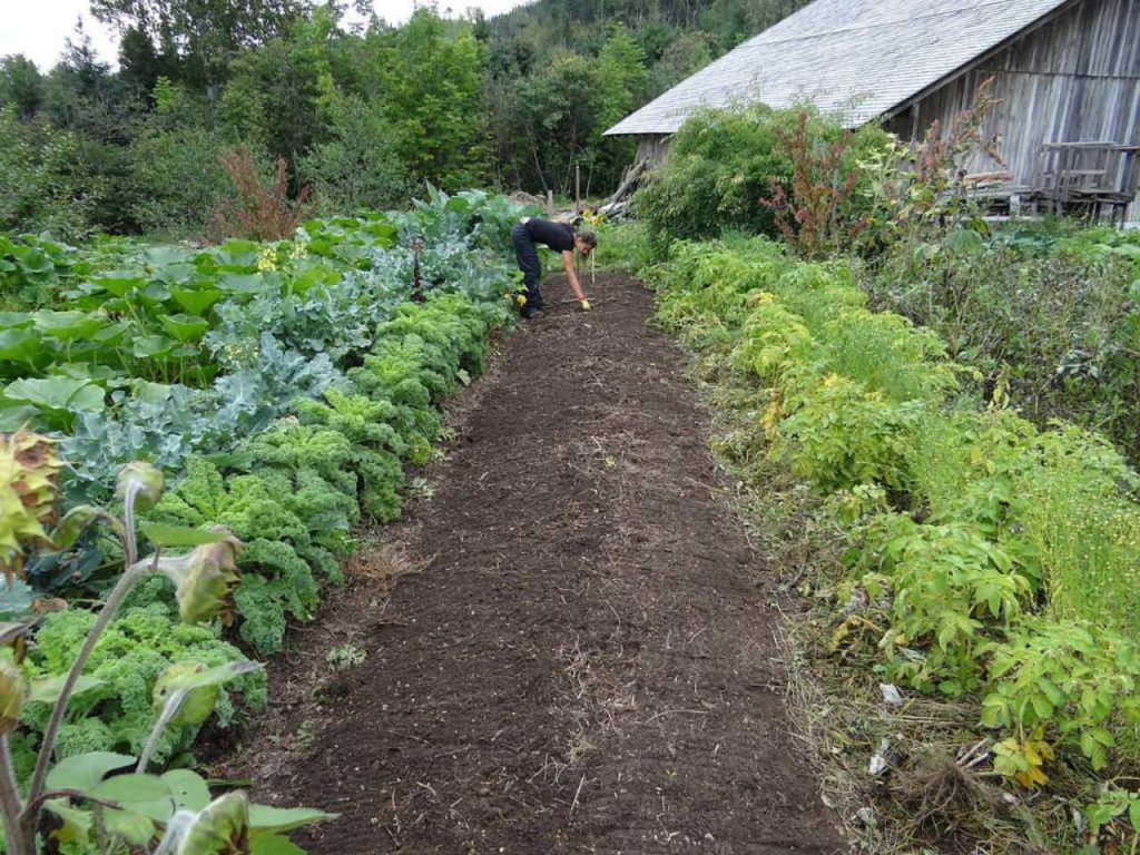 Jardin biologique